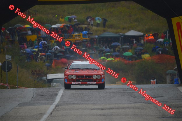 DSC_8681.JPG